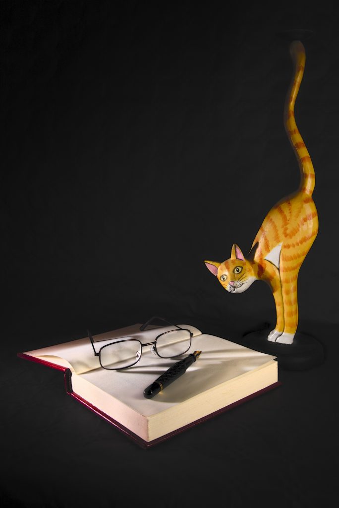 Chat en plâtre près d'un livre ouvert