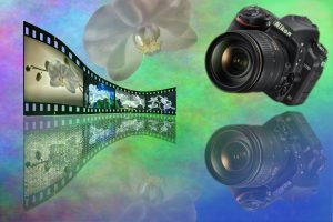 Une pellicule de négatif et un appareil nikon
