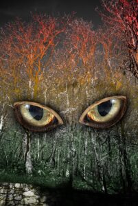 Les yeux de chat dans une forêt qui dépérit