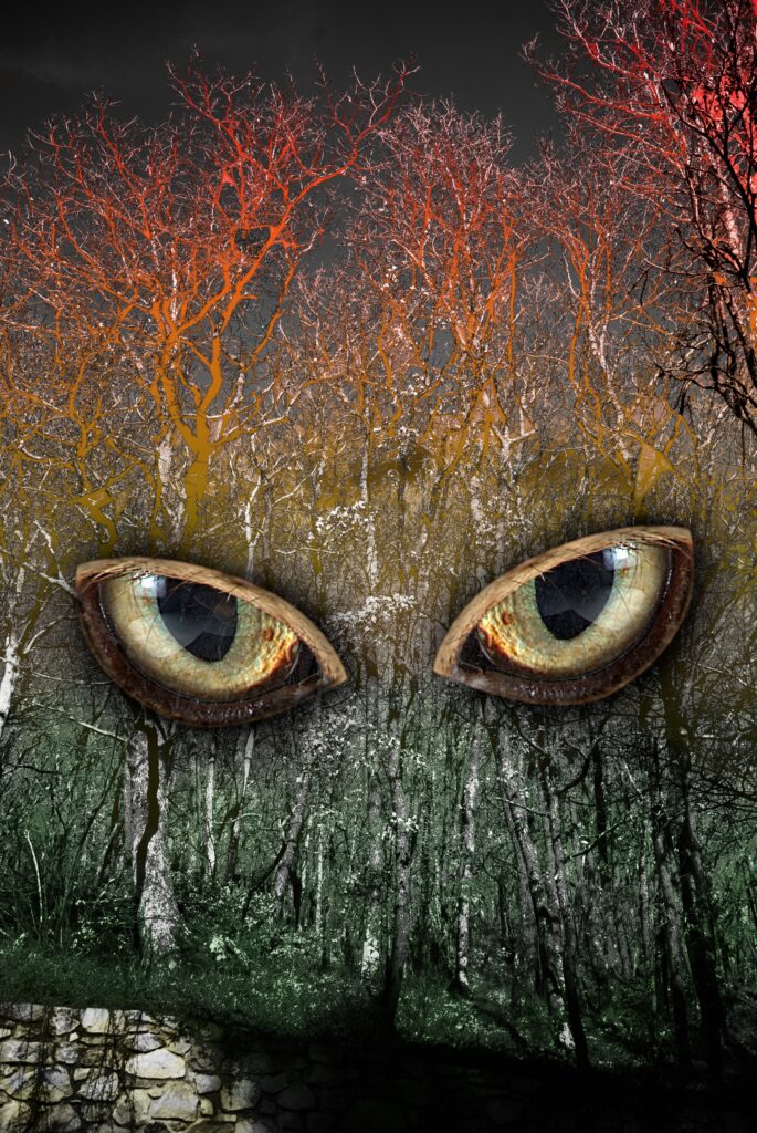 Les yeux de chat dans une forêt qui dépérit