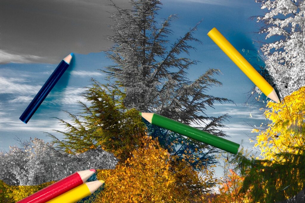 Des crayons de couleurs pour colorer une image en noir et blanc