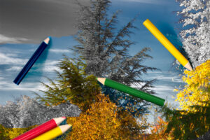 Des crayons de couleurs pour colorer une image en noir et blanc