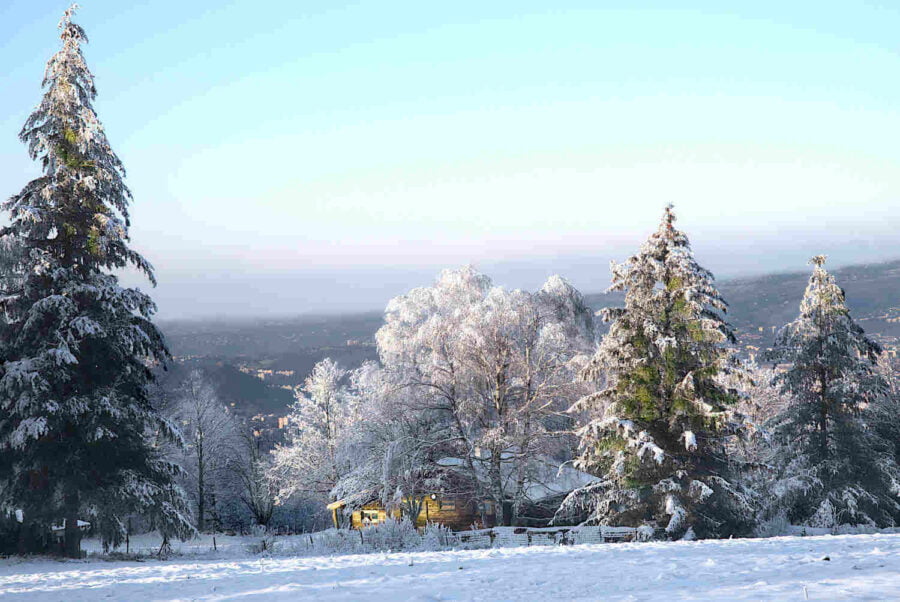 Chalet sous des arbres recouverts de neige et Saint-Etienne en arrière-plan