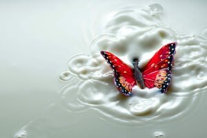 Papillon factice dans un bol de lait