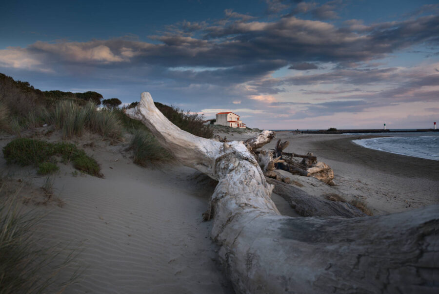 Une maison et un tronc d'arbre en bord de mer