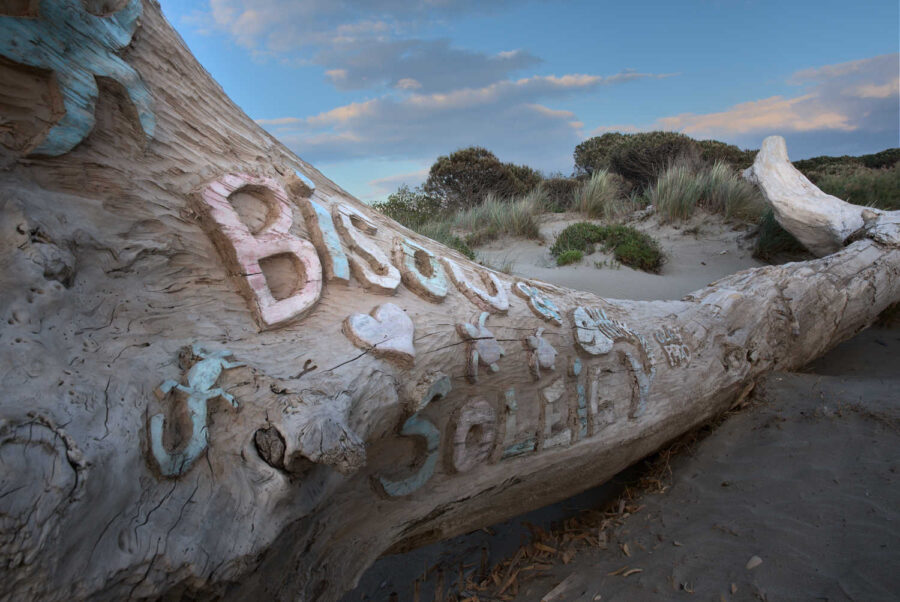 Tronc d'arbre échouée sur le sable avec des inscriptions bisous et soleil