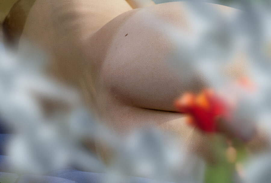Corps féminin avec une rose