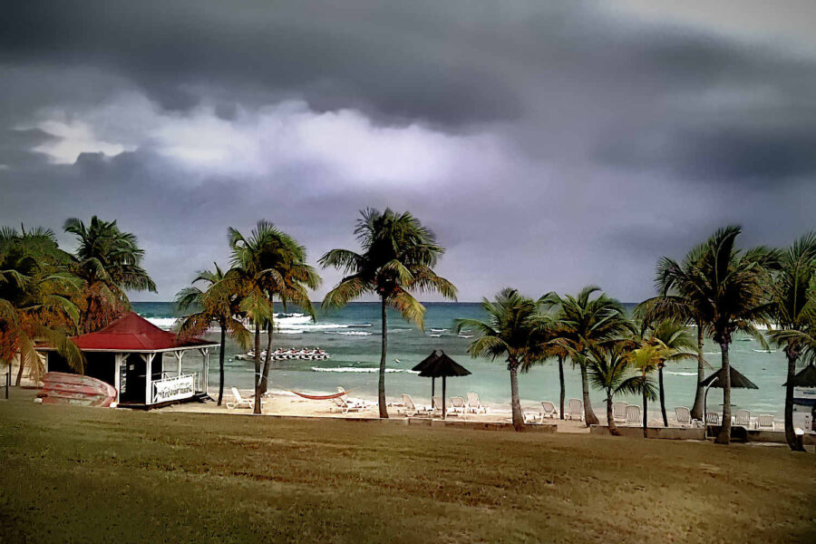 Palmiers sur une plage de la Guadeloupe avant l'arrivée d'une tempête tropicale