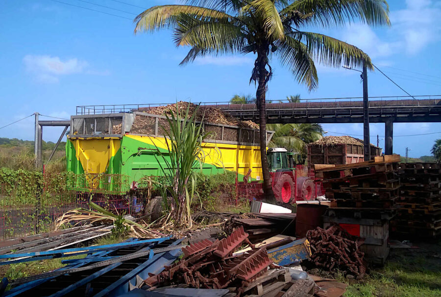 Arrivage d'un camion de canne à sucre pour la fabrication du rhum en Guadeloupe