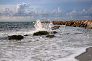 Vague sur le rivage